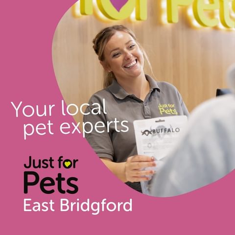 Advertise Like a Pro 8 Types of Digital Advertising img2