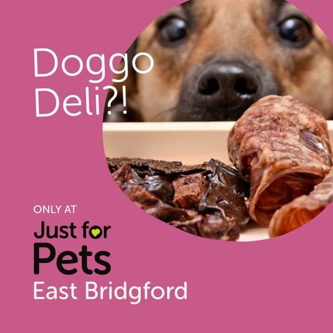 Advertise Like a Pro 8 Types of Digital Advertising img7