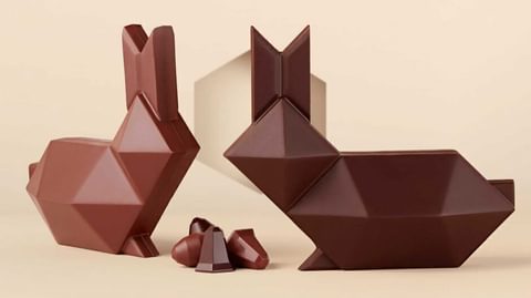 Egg citing easter packaging img 4