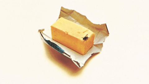 The Streisand Effect When Silence Speaks Volumes hero