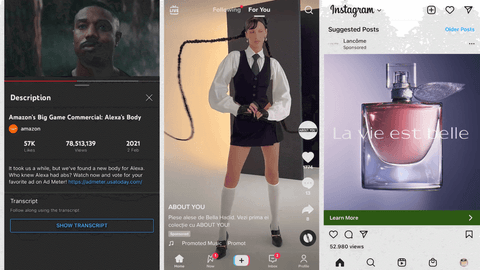 A beginners guide img3